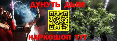 крисы Коммунар